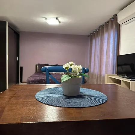 Pensjonat вила николета *